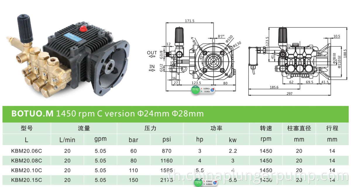 BOTUOLINI TRIPLEX PLUNGER PUMP